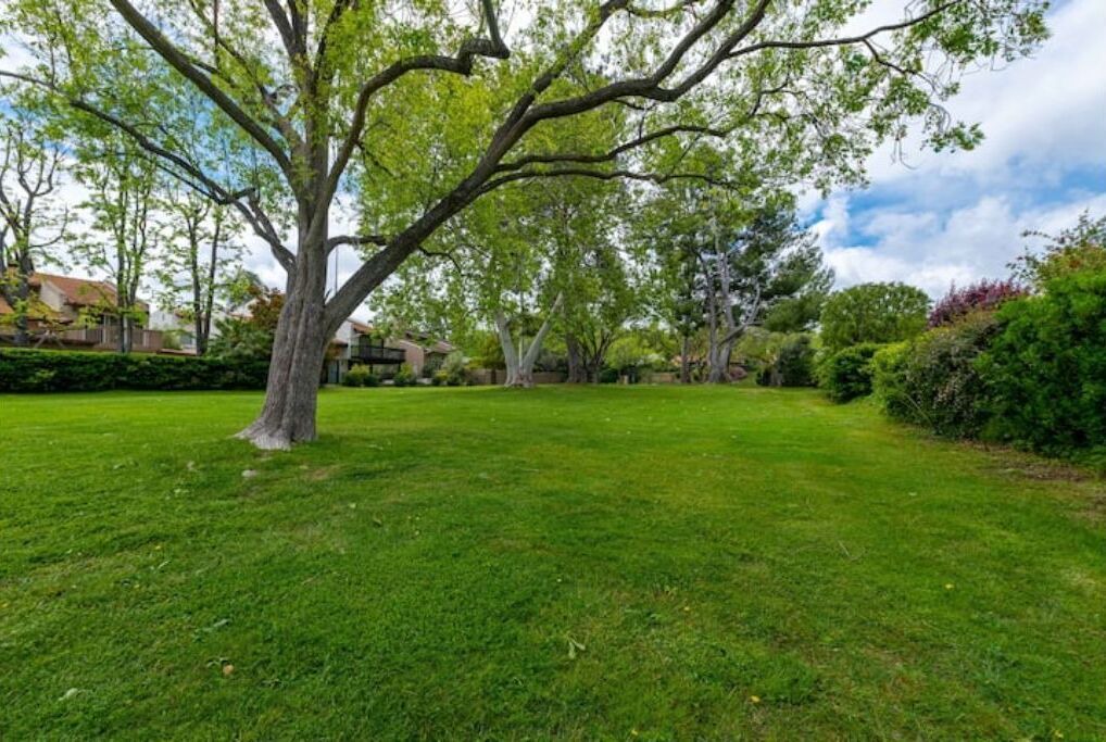 Photo of Outdoor in Westlake Village