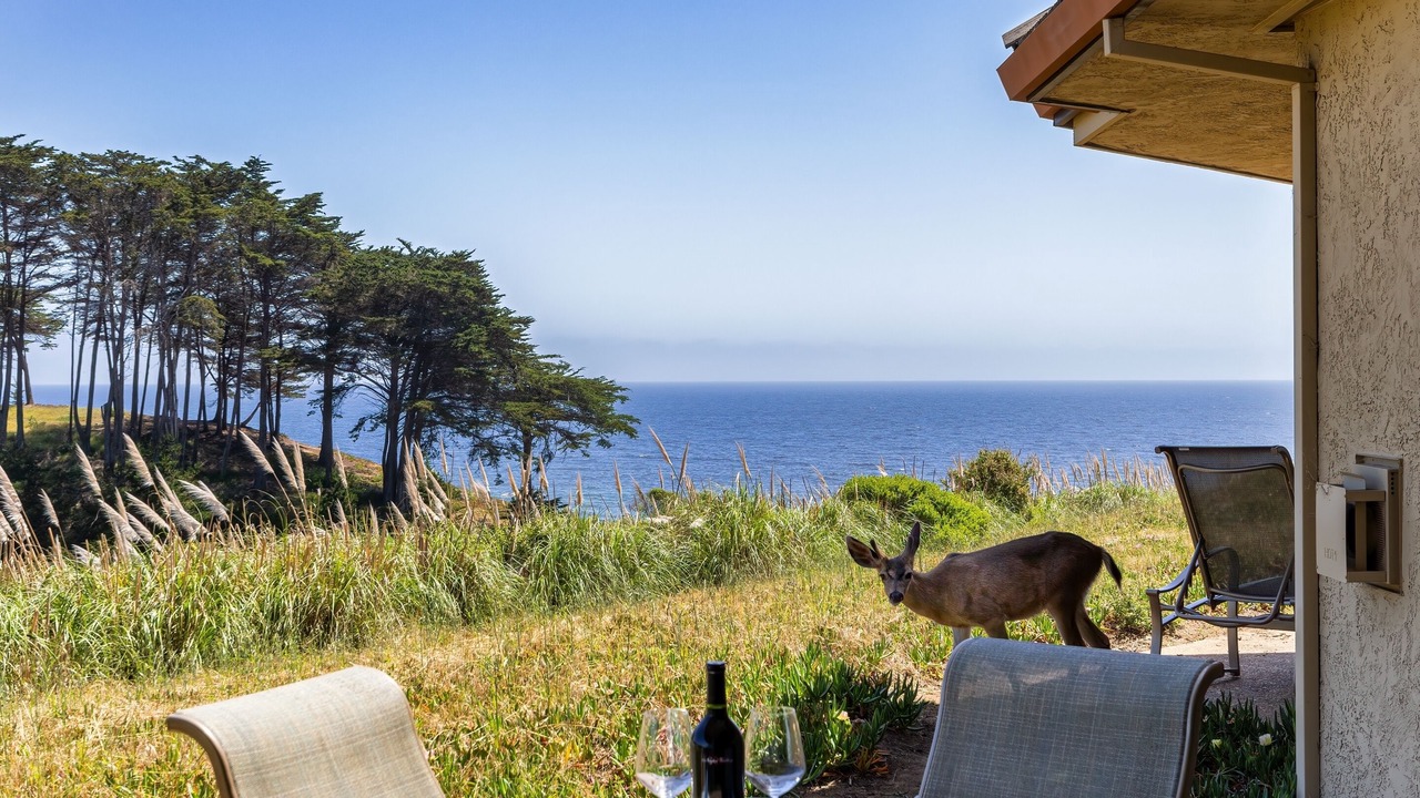Photo of Outdoor in Rio del Mar