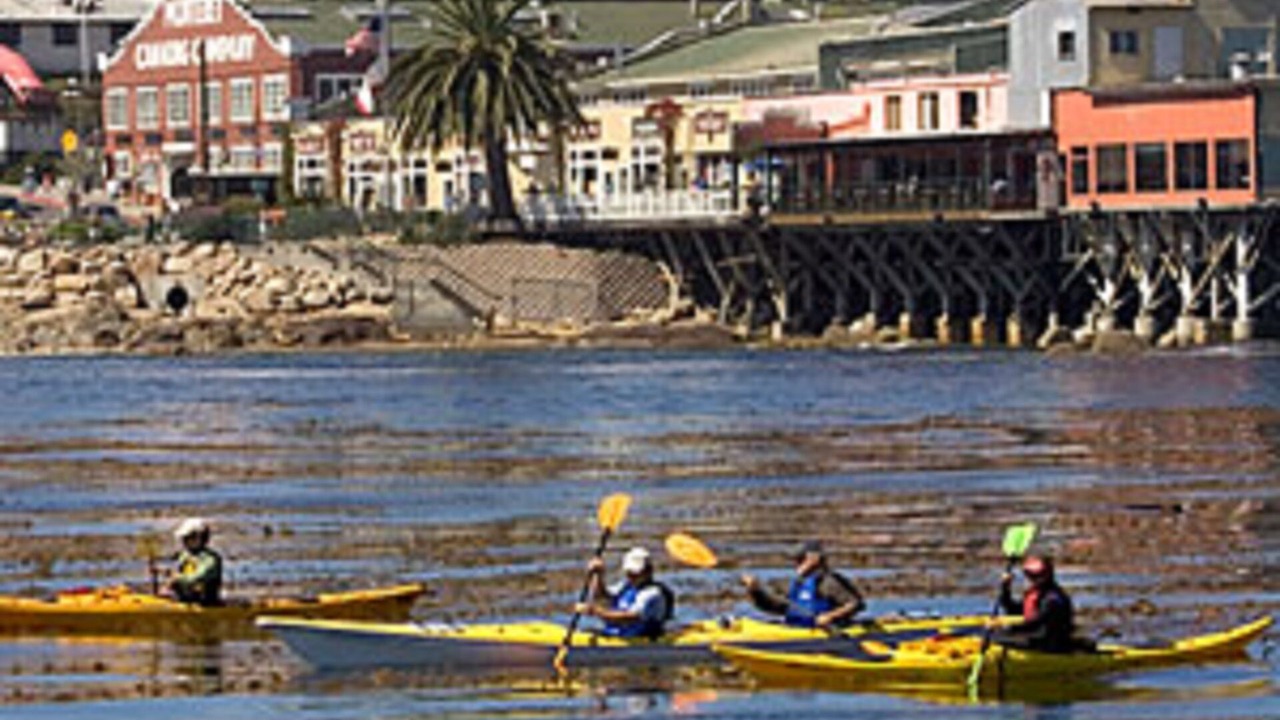 Photo of Others in Seaside