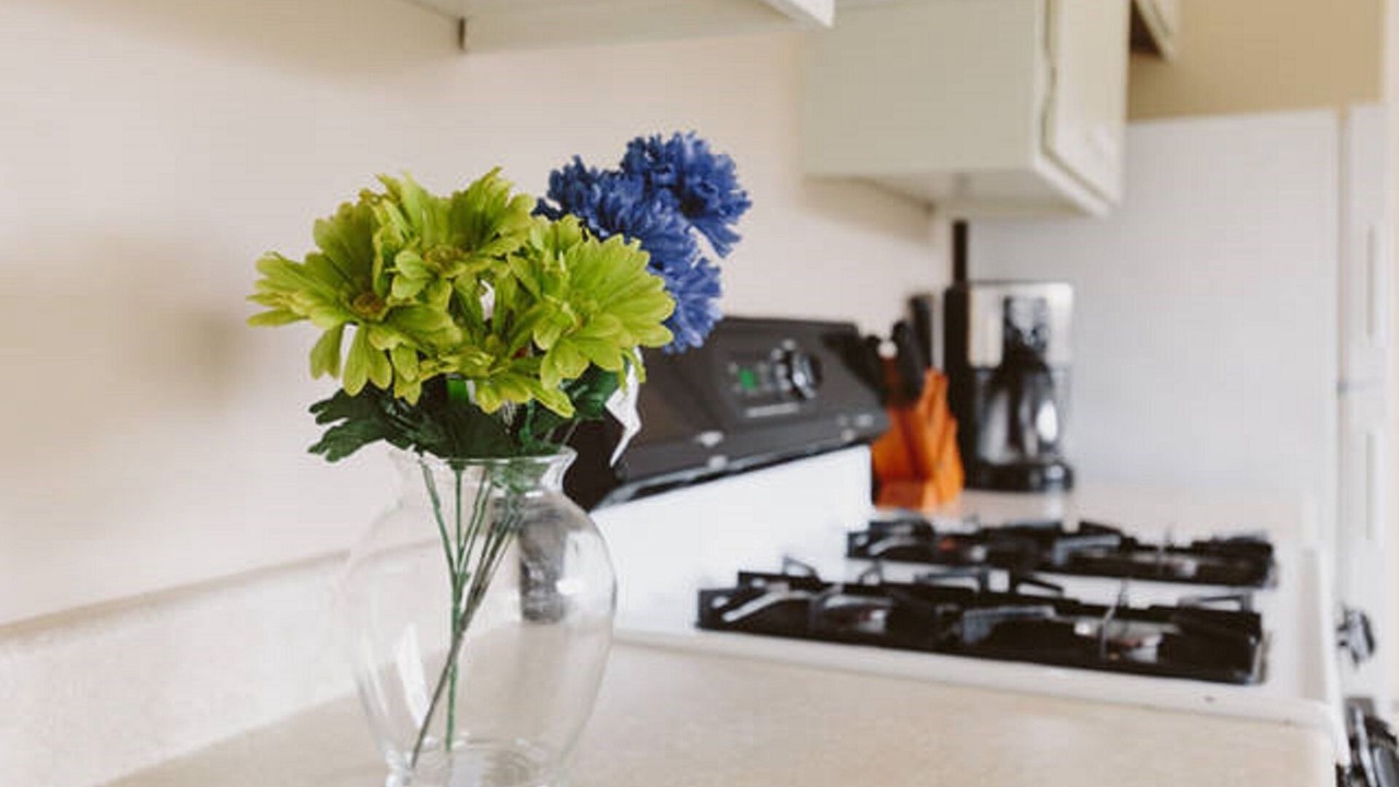 Photo of Kitchen in Seaside