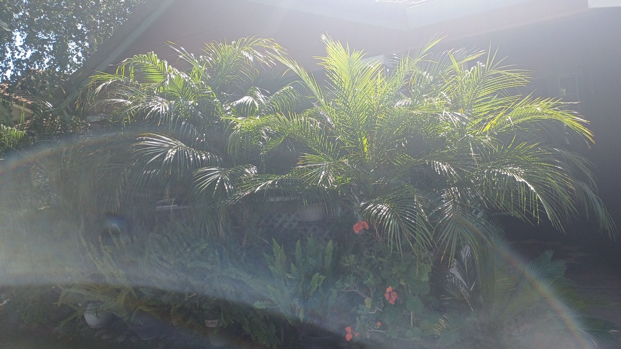 Photo of Outdoor in Lodi