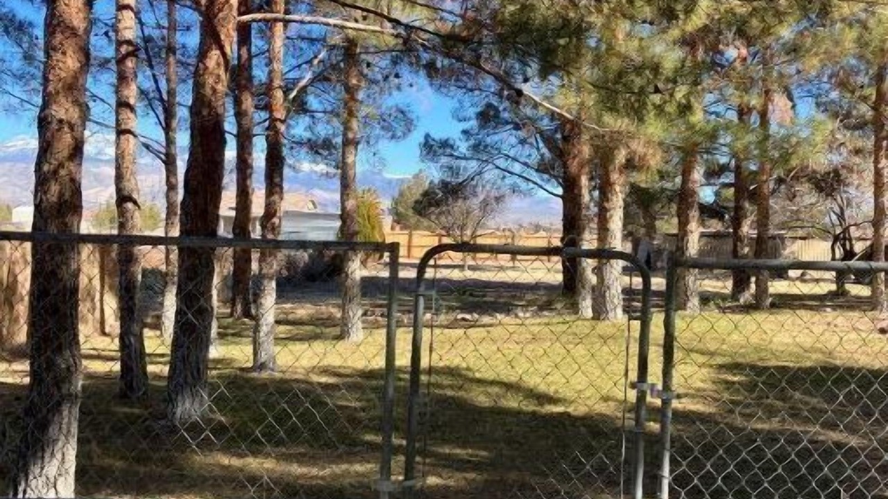 Photo of Outdoor in Pahrump