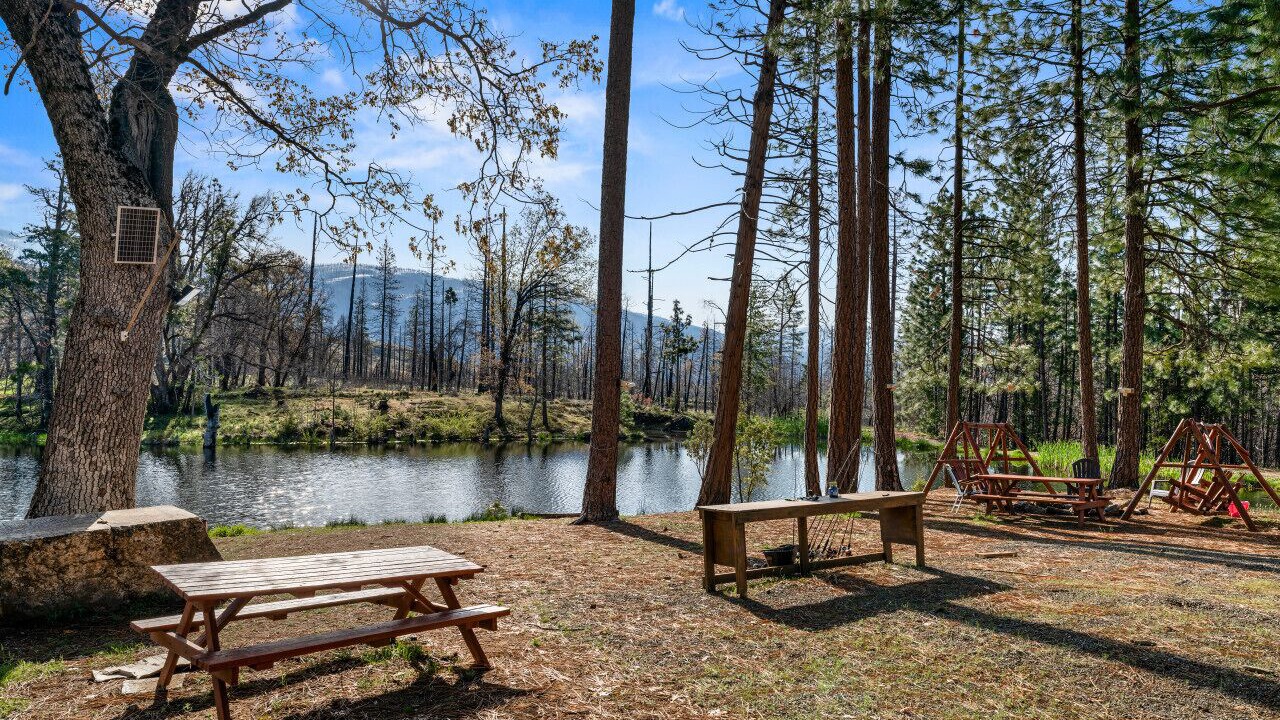 Photo of Outdoor in North Fork
