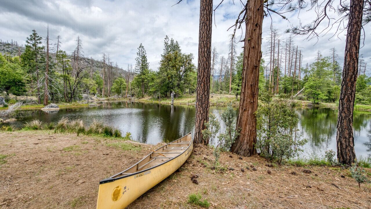 Photo of Outdoor in North Fork
