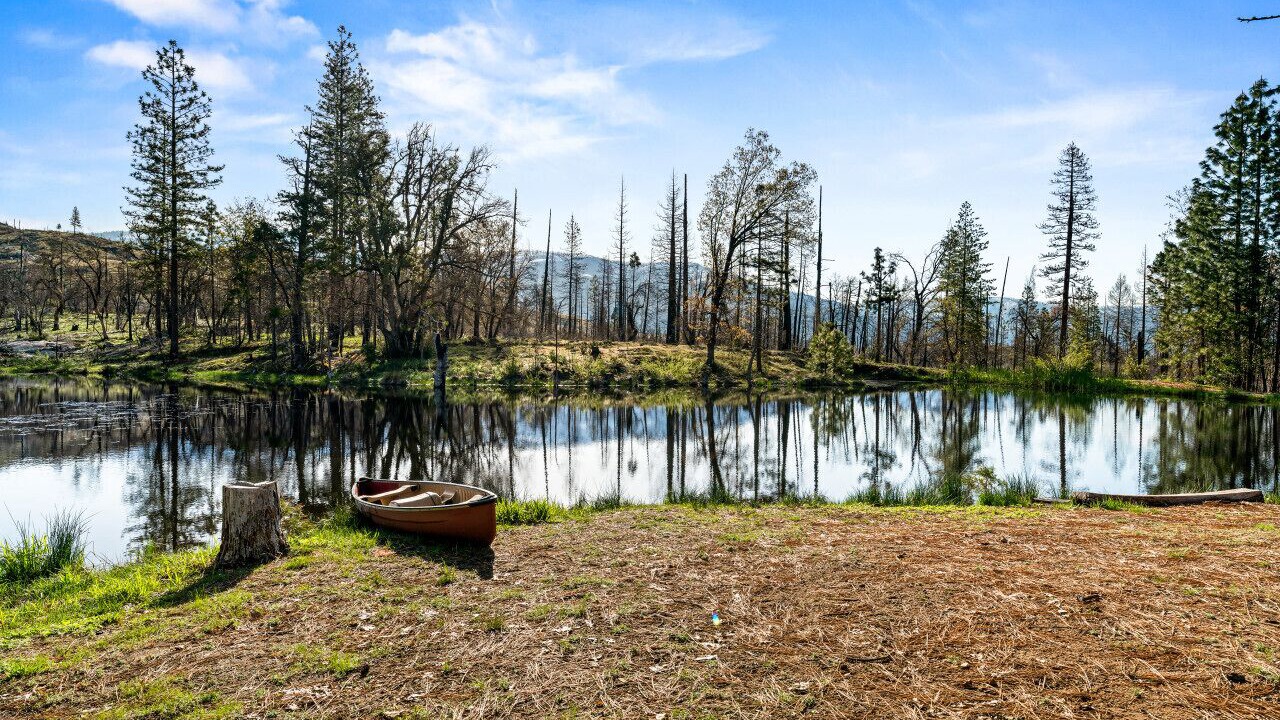 Photo of Outdoor in North Fork