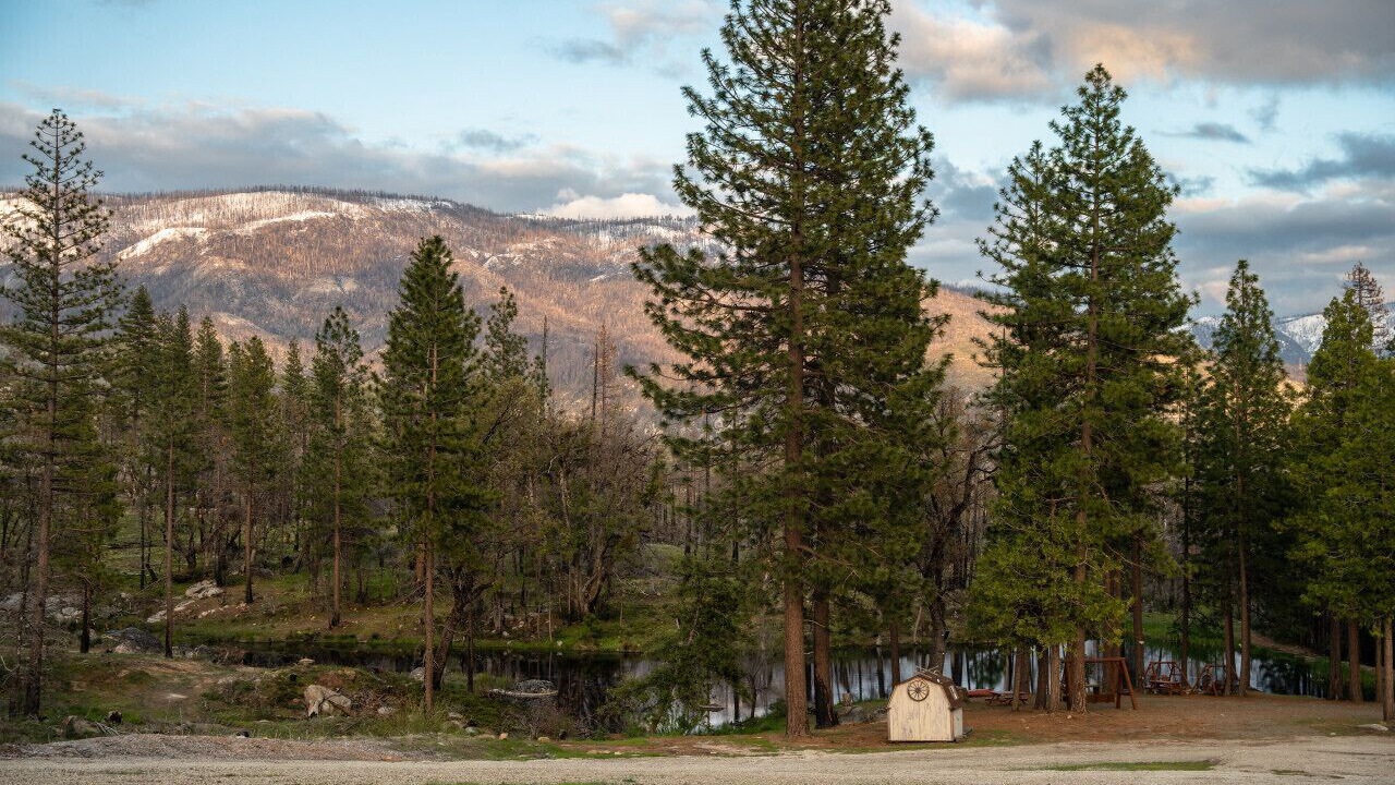 Photo of Outdoor in North Fork