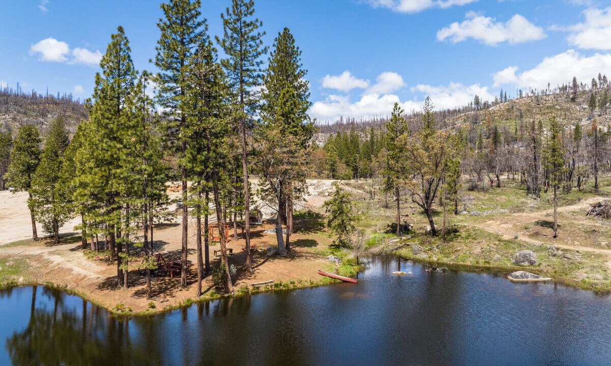 Photo of Outdoor in North Fork