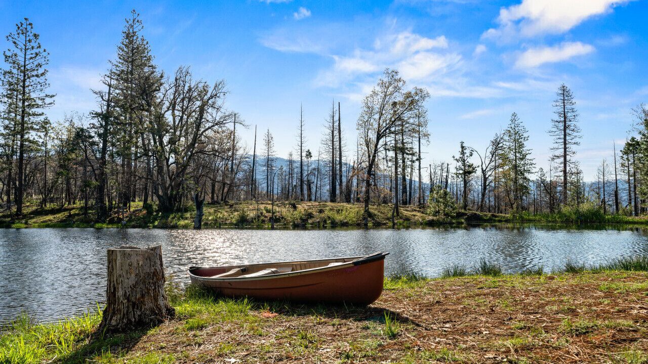 Photo of Outdoor in North Fork
