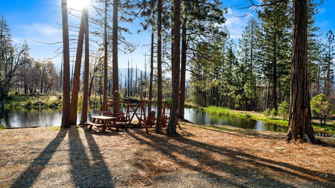 Photo of Outdoor in North Fork