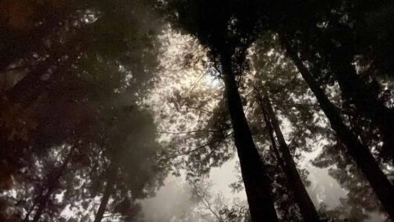 Photo of Others in Lagunitas-Forest Knolls