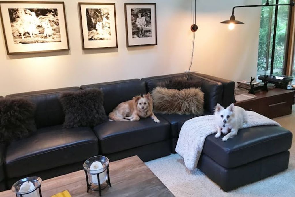 Photo of Bedroom in Lagunitas-Forest Knolls