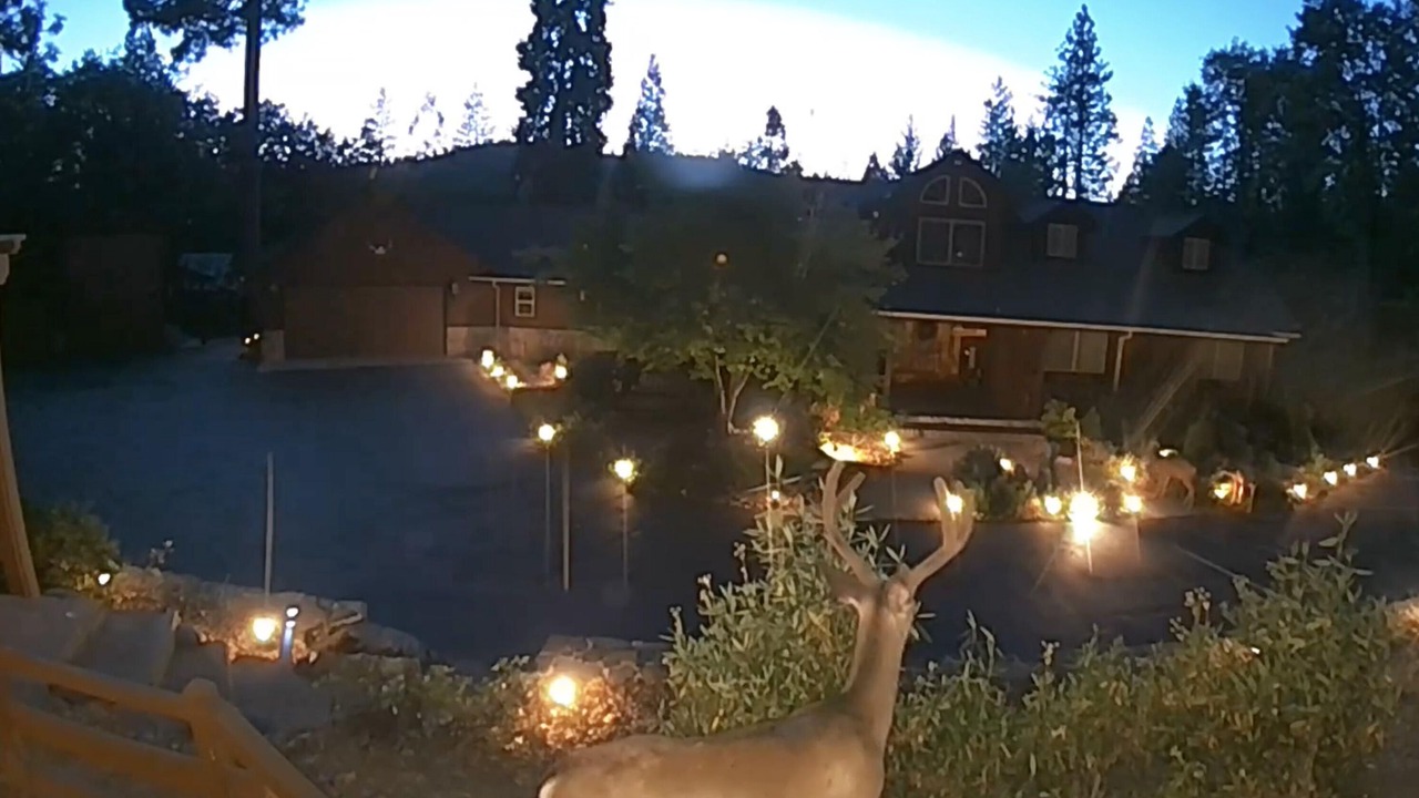 Photo of Others in Tuolumne County