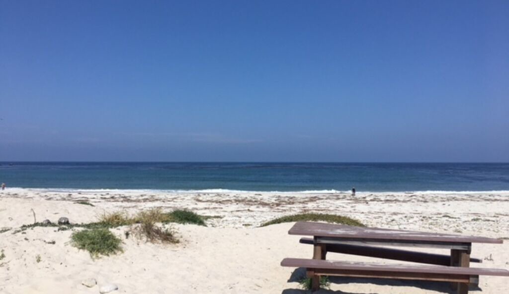 Photo of Others in Pacific Grove