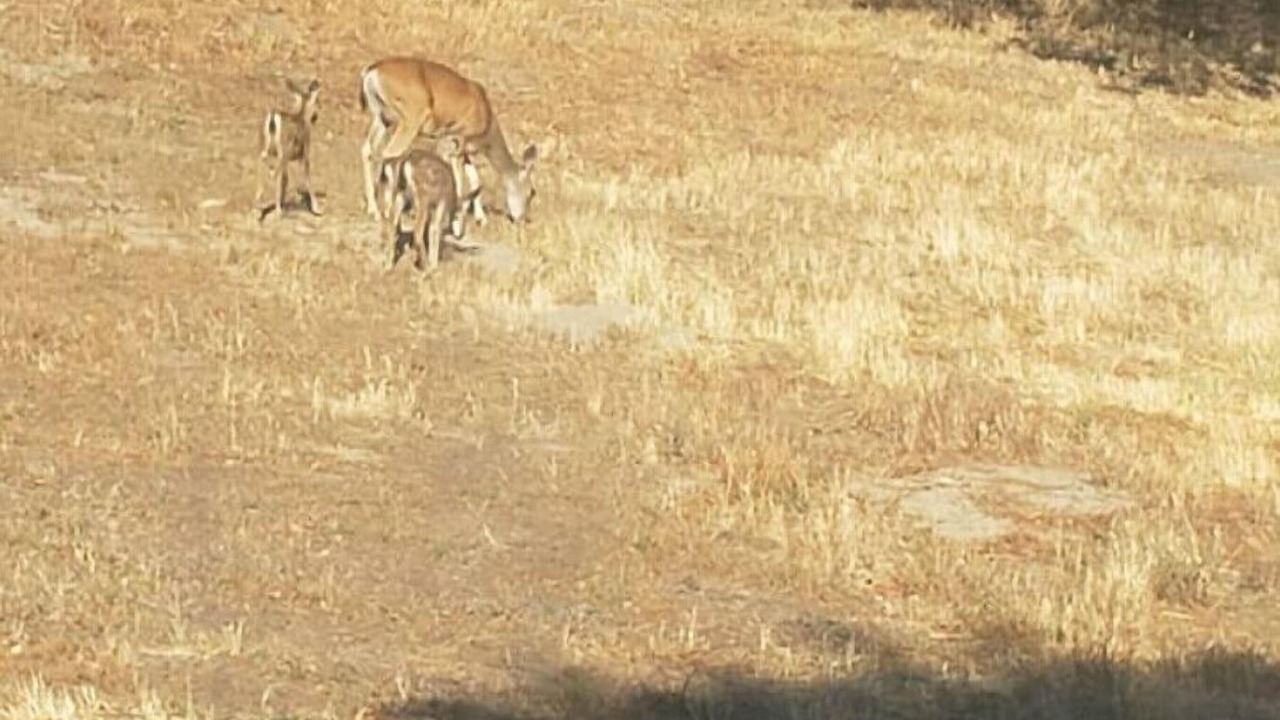 Photo of Others in Creston
