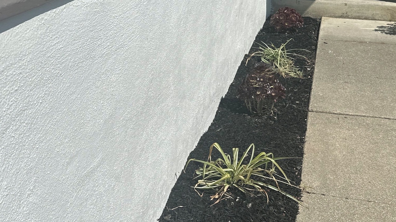 Photo of Outdoor in San Lorenzo