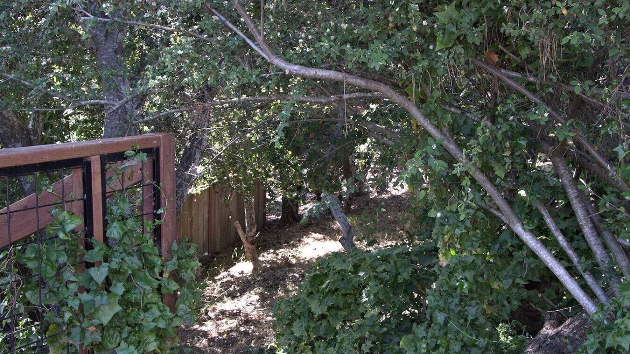 Photo of Outdoor in Marine Terrace
