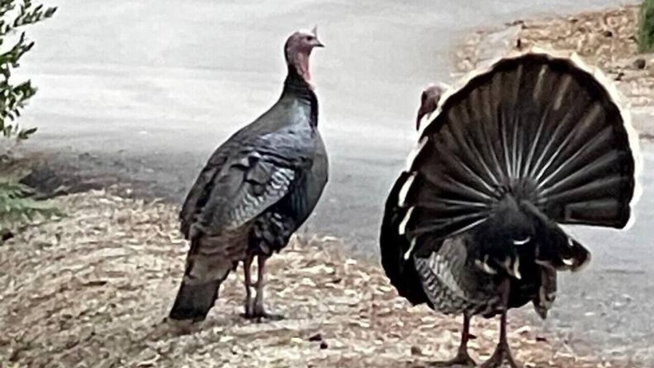Photo of Others in Marine Terrace