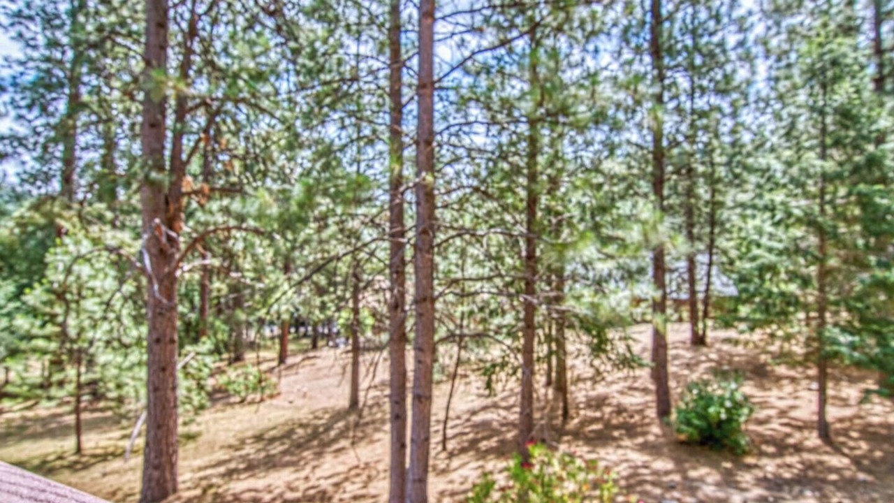 Photo of Outdoor in Groveland