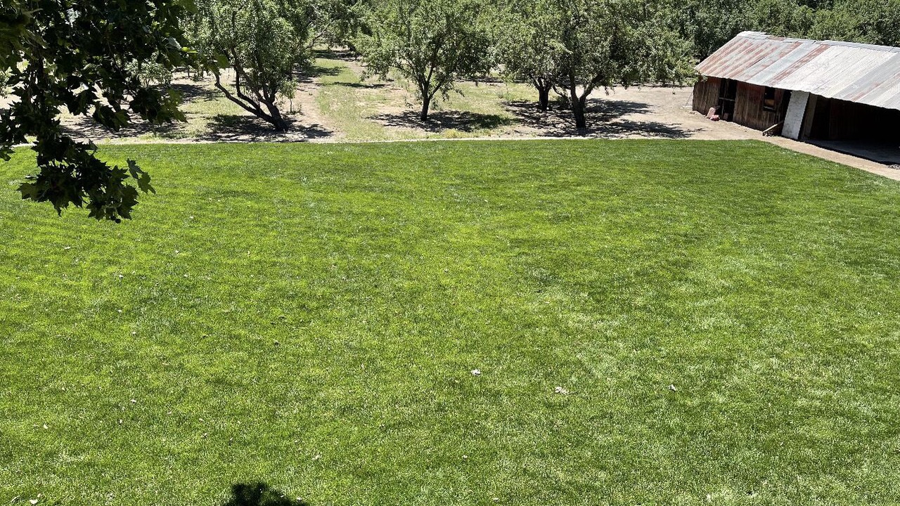Photo of Others in Manteca