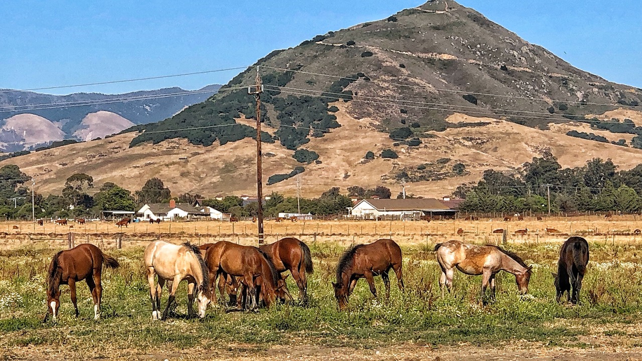 Photo of Outdoor in San Luis Obispo