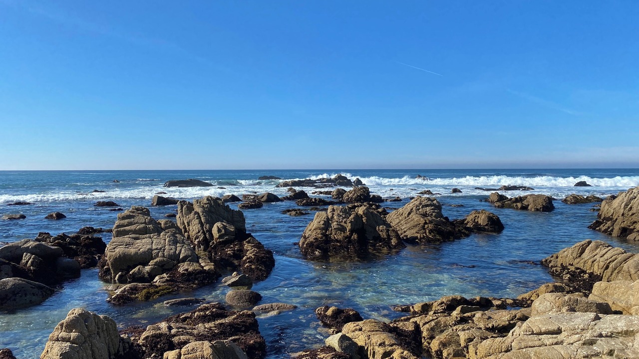 Photo of Others in Monterey