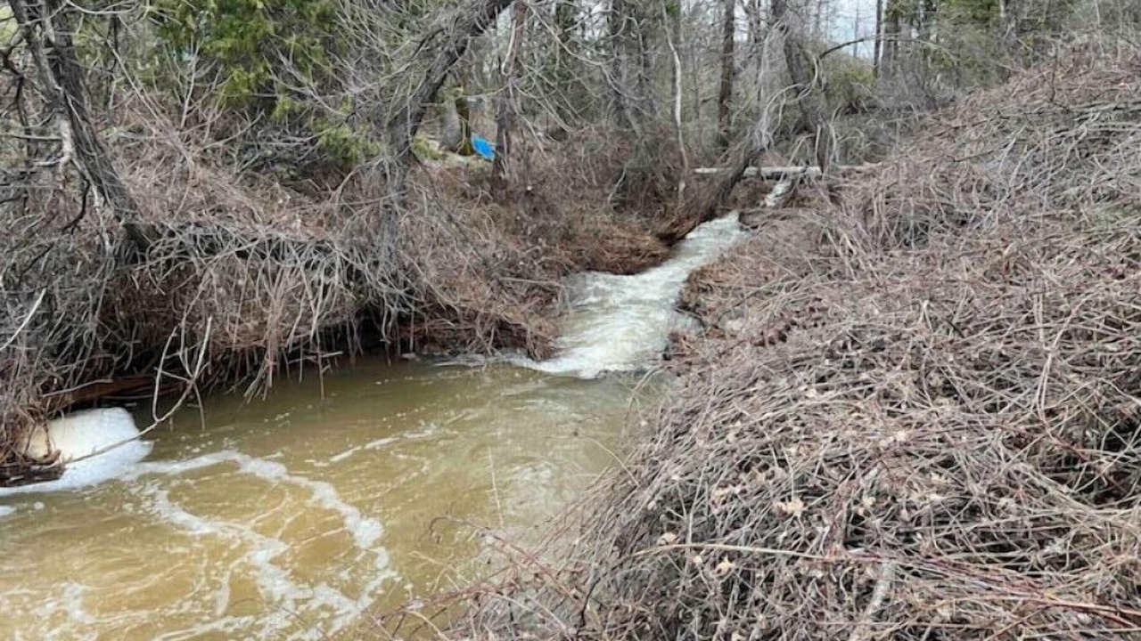 Photo of Outdoor in Coarsegold