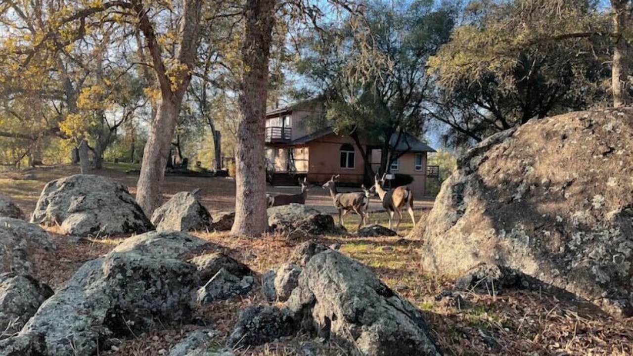 Photo of Outdoor in Coarsegold