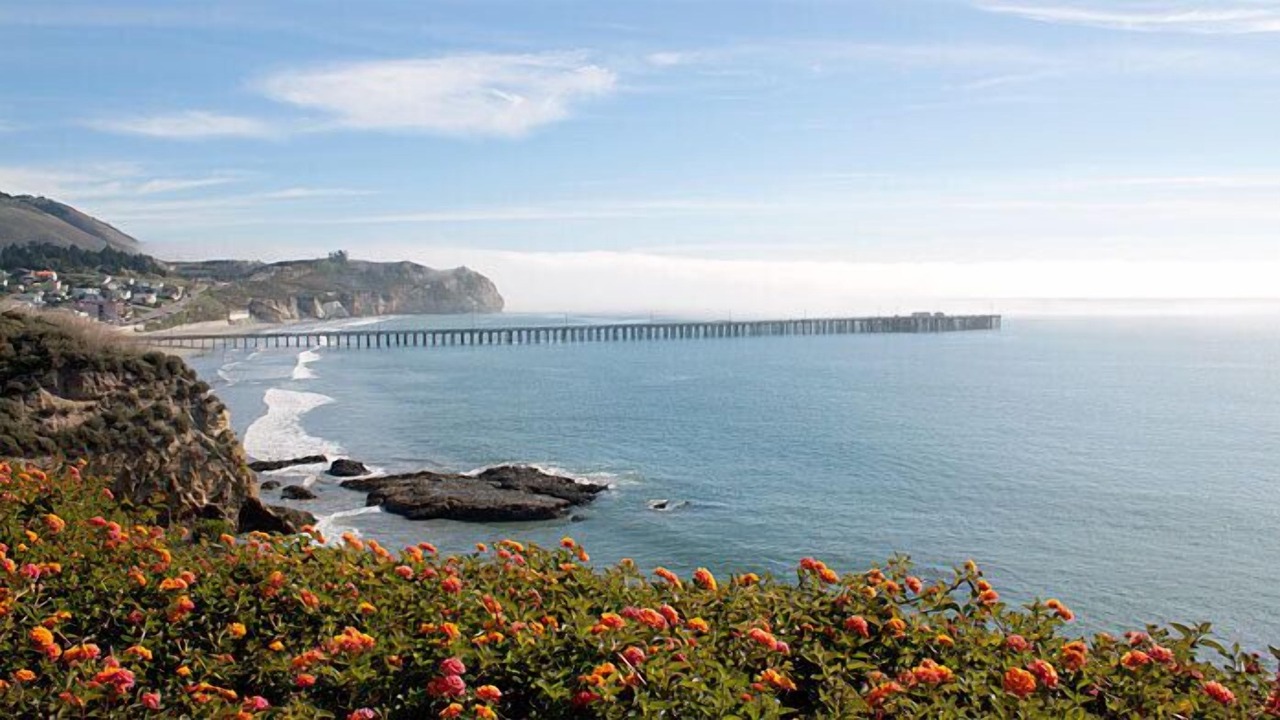 Photo of Others in Avila Beach