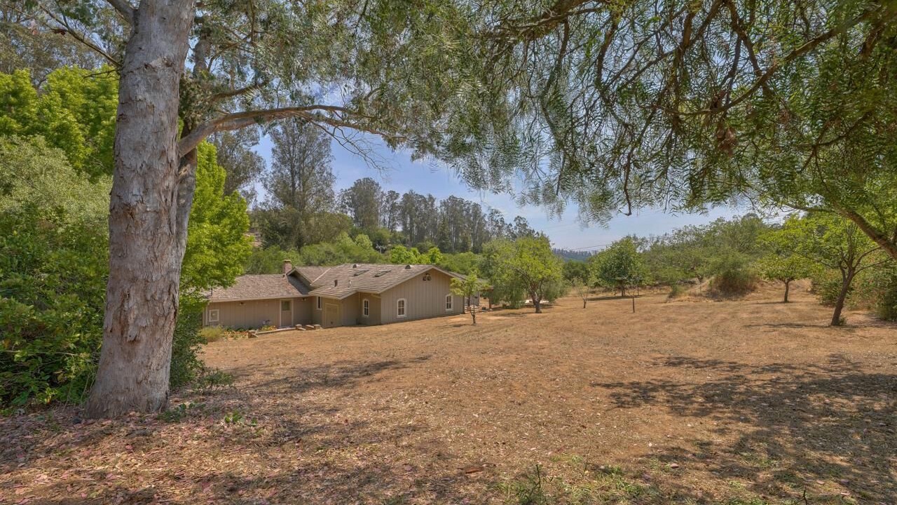 Photo of Outdoor in Prunedale