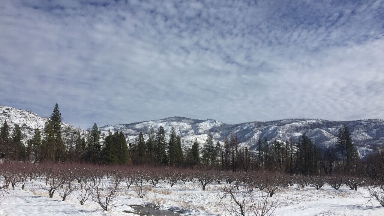 Photo of Others in North Fork