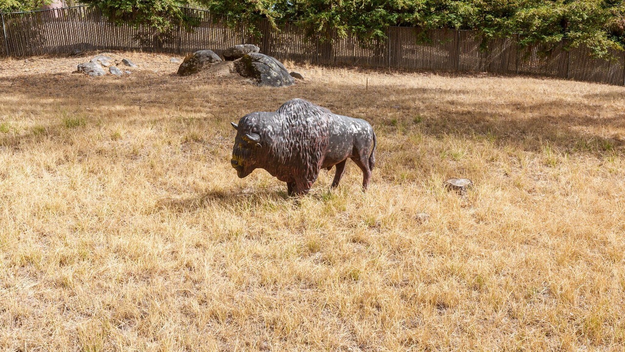 Photo of Others in Oakhurst