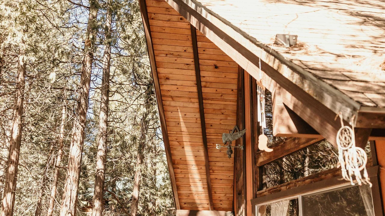 Photo of Others in Alta Sierra