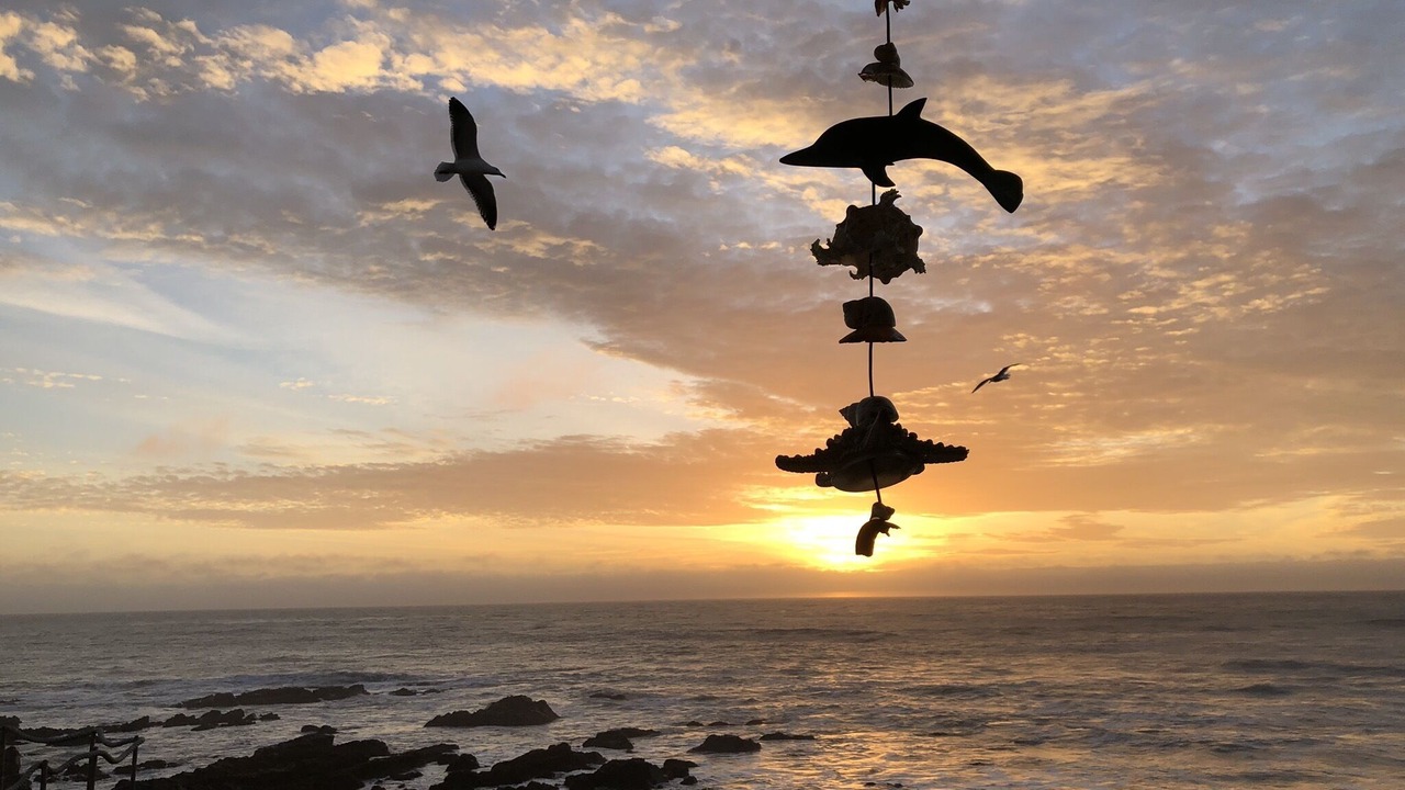Photo of Others in Marine Terrace