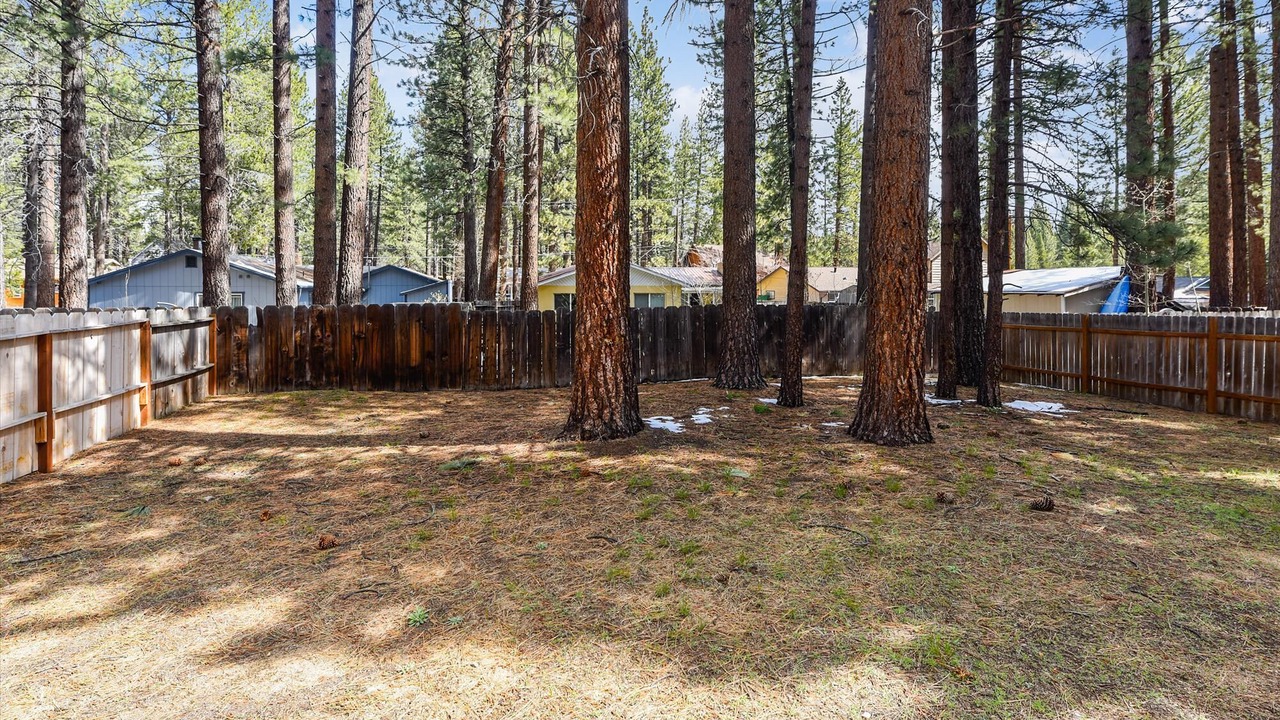 Photo of Outdoor in Black Bart
