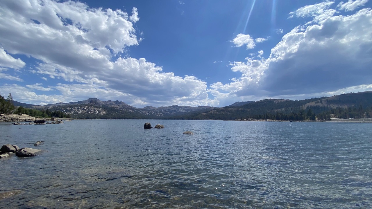 Photo of Others in Carson City