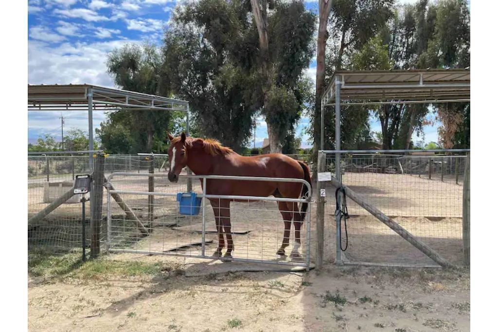 Photo of Outdoor in Sanger