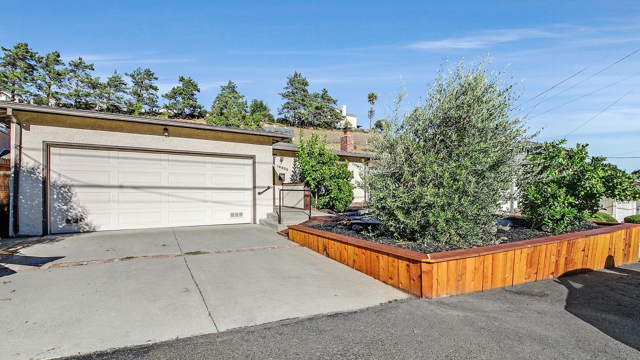 Photo of Outdoor in Castro Valley