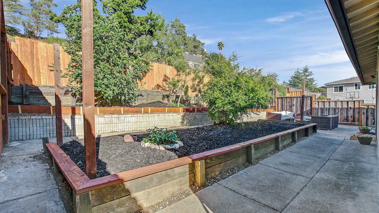 Photo of Outdoor in Castro Valley