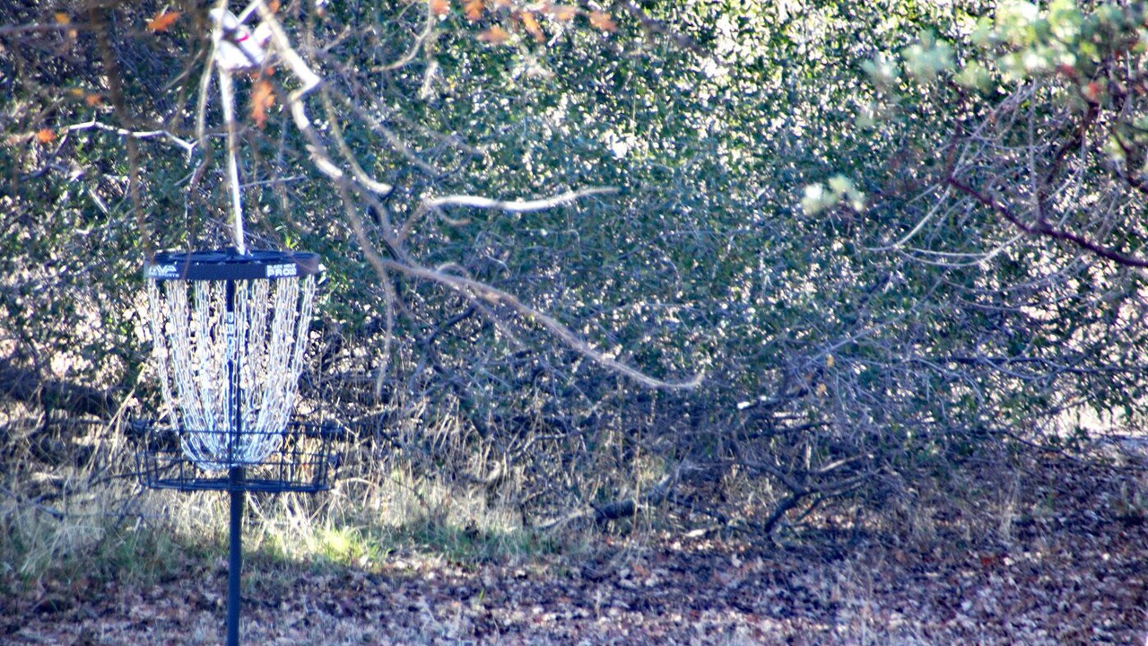 Photo of Others in Mariposa