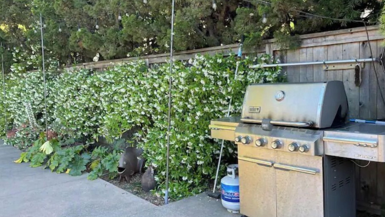 Photo of Outdoor in San Rafael