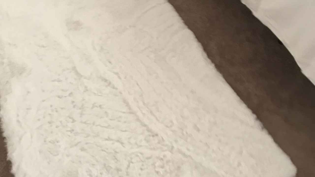 Photo of Bedroom in Millbrae