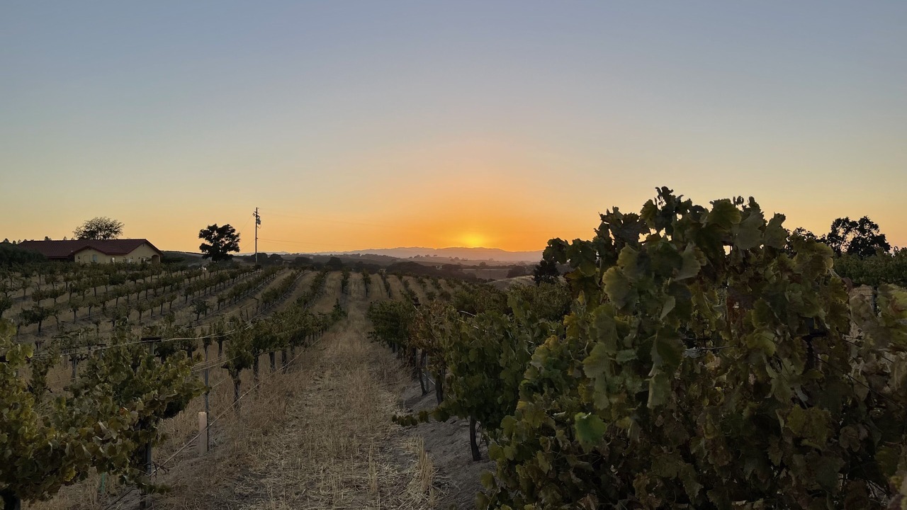 Photo of Outdoor in Paso Robles