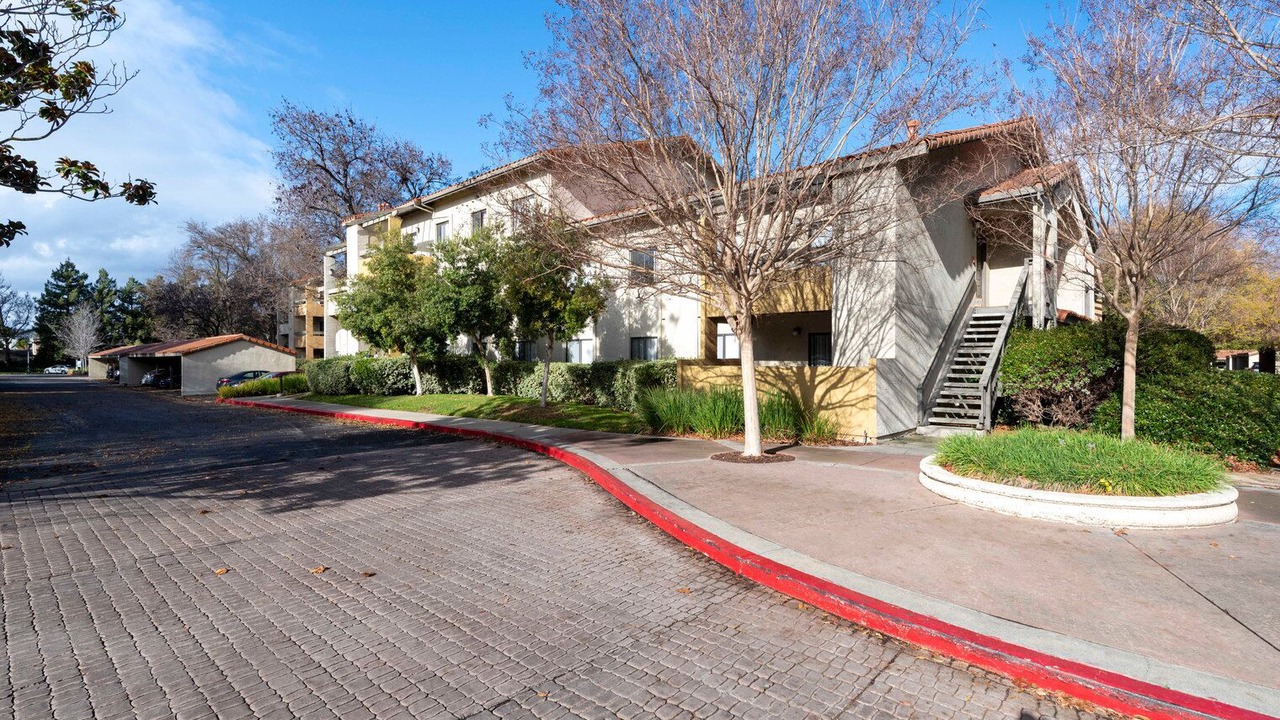 Photo of Outdoor in Shoreline West
