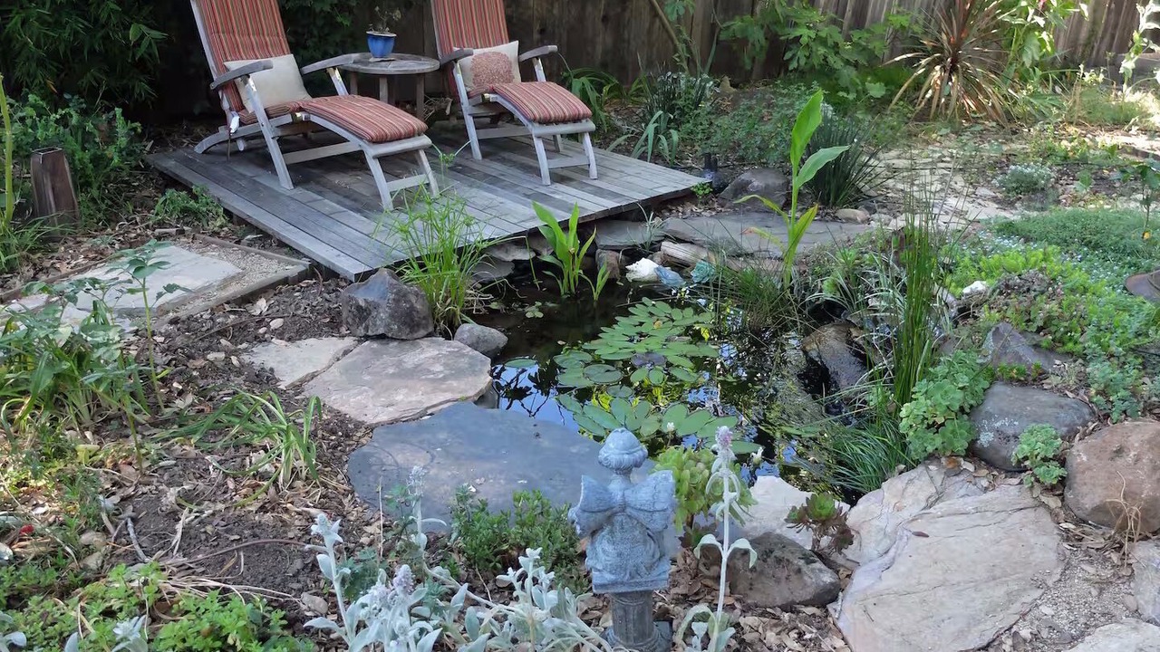 Photo of Outdoor in Fairfax