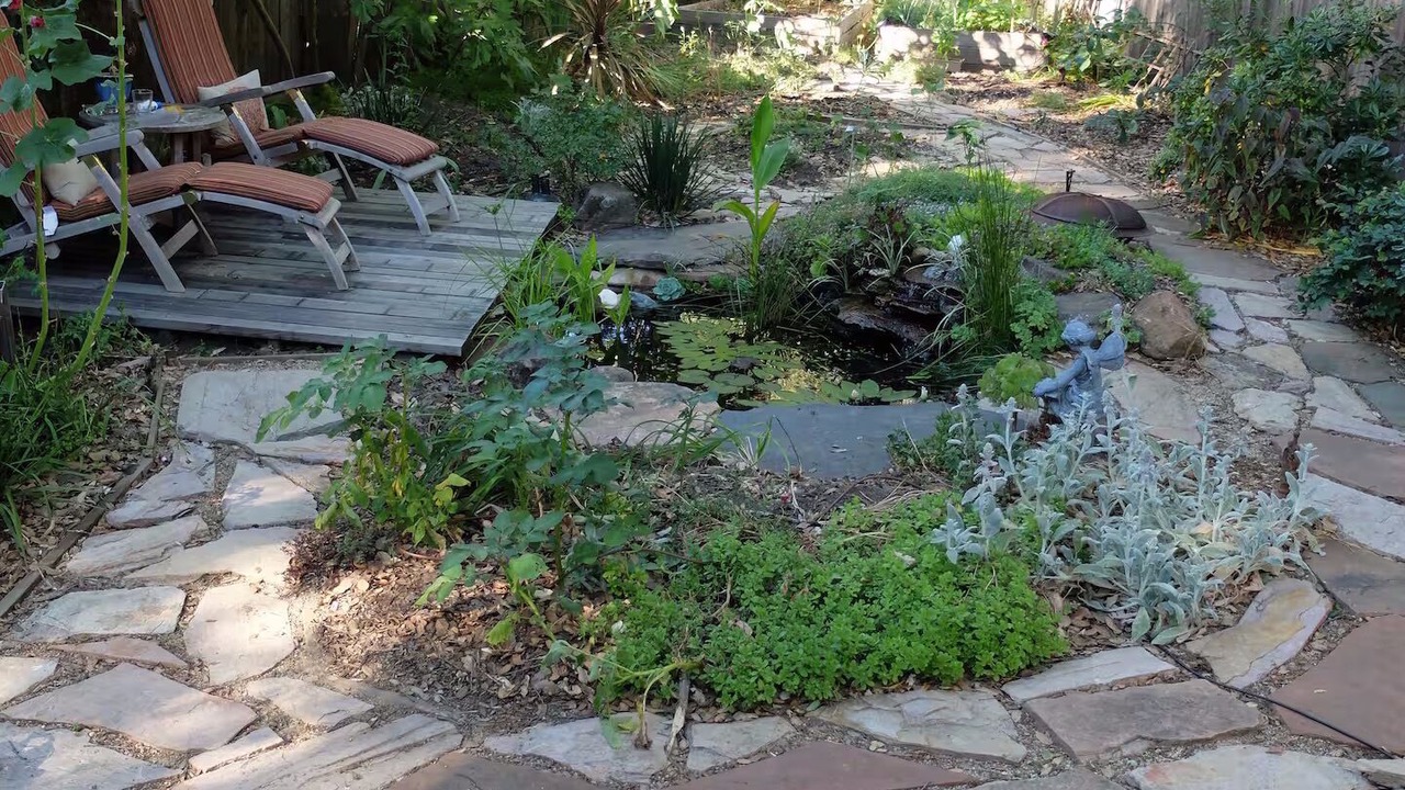 Photo of Outdoor in Fairfax