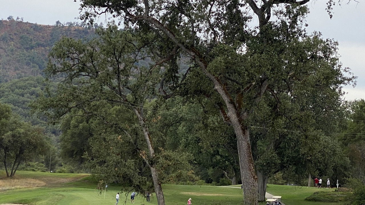 Photo of Others in Oakhurst