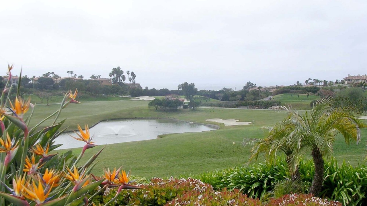 Photo of Others in Monarch Beach