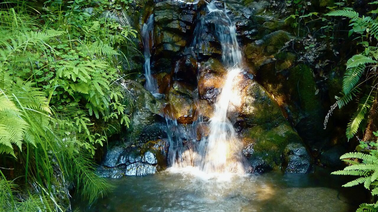 Photo of Outdoor in Carmel