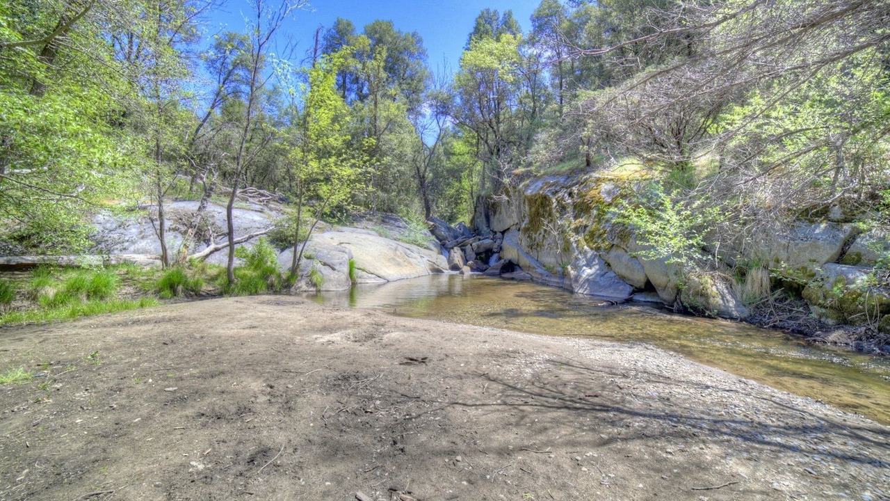 Photo of Others in Yosemite Forks