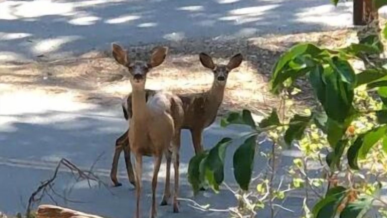 Photo of Others in Atascadero